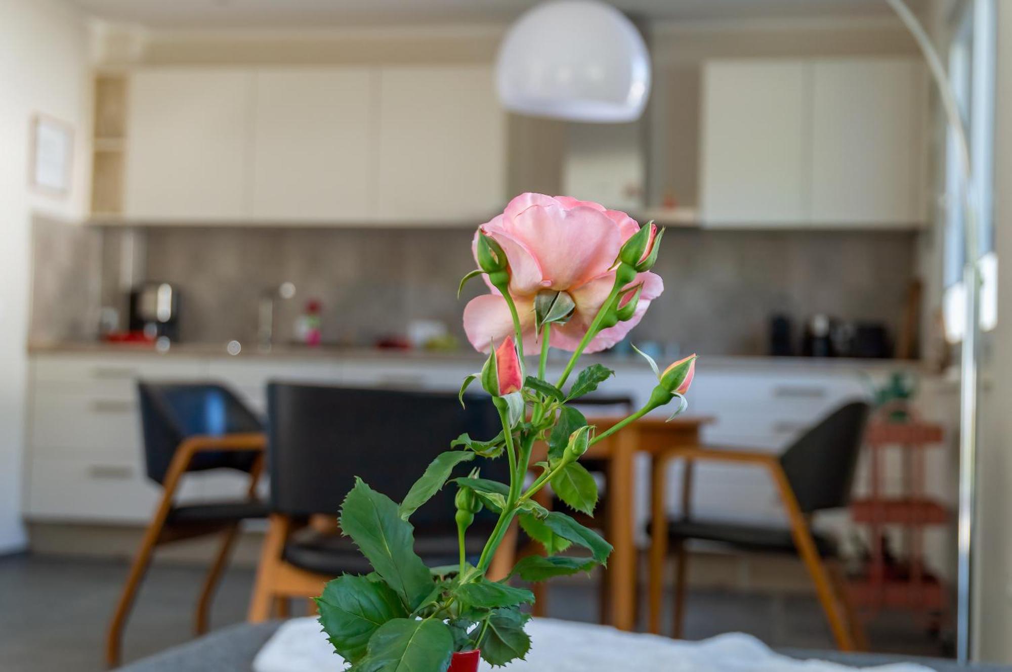 Ferienwohnung Wurzelecht Bad Neuenahr-Ahrweiler Dış mekan fotoğraf